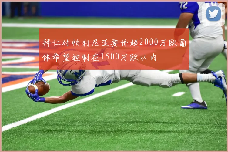 拜仁对帕利尼亚要价超2000万欧葡体希望控制在1500万欧以内