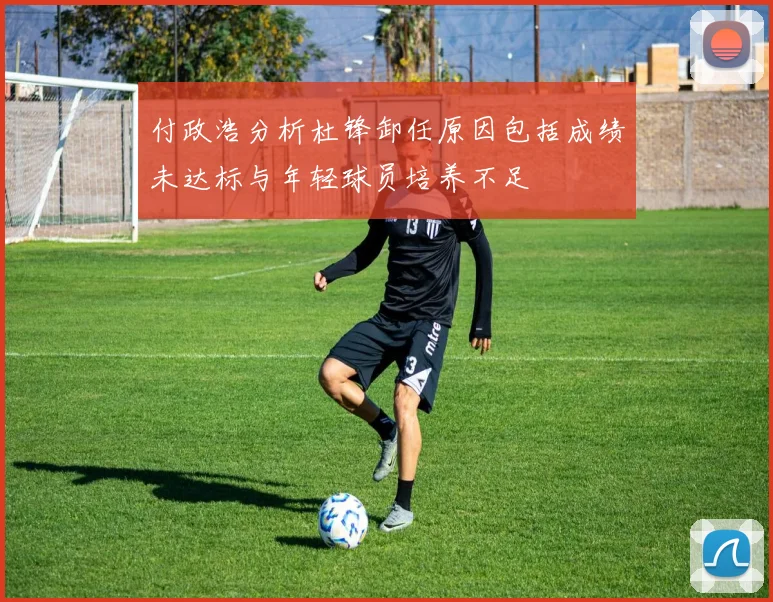 付政浩分析杜锋卸任原因包括成绩未达标与年轻球员培养不足