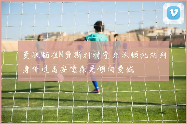 曼联瞄准M费斯科特霍尔沃顿托纳利身价过高安德森更倾向曼城