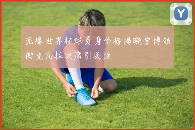 无缘世界杯球员身价榜揭晓索博领衔克瓦拉次席引关注