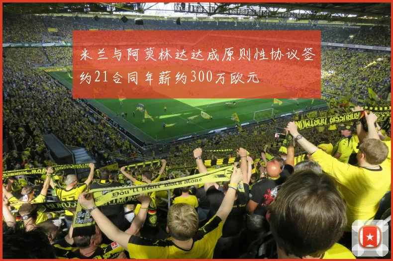 米兰与阿莫林达达成原则性协议签约21合同年薪约300万欧元